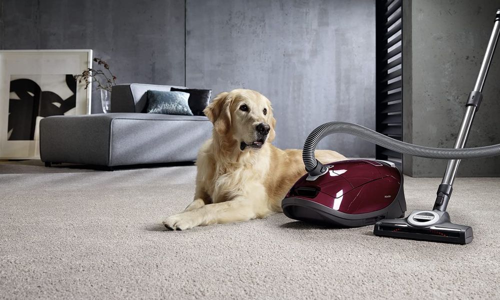 Test, avis Miele C3 Cat & Dog PowerLine : un aspirateur poils de chien et tapis